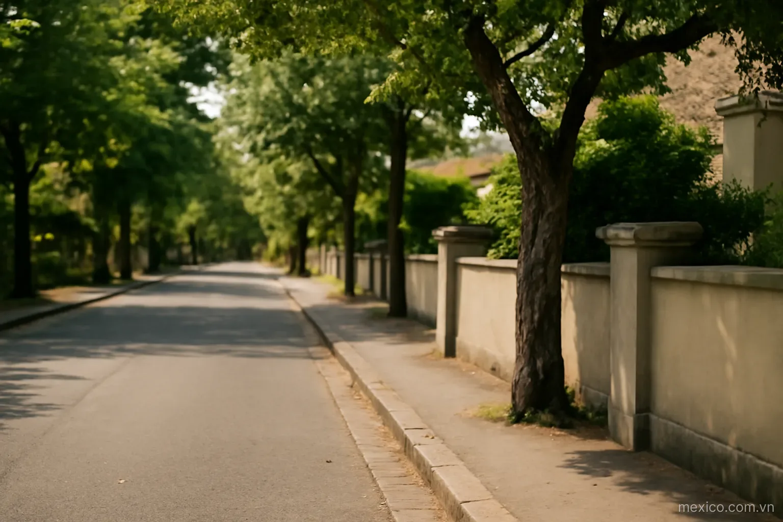 A quiet residential street with low walls and trees in daylight, eye level, no text