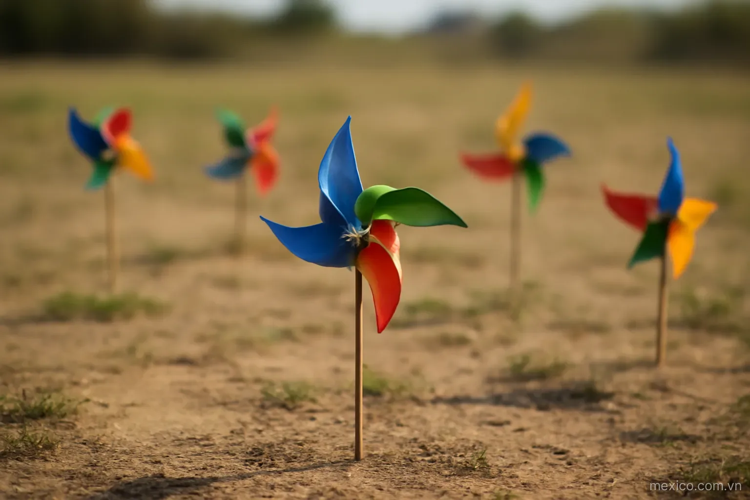 Several small pinwheels on thin posts standing at different spots across open ground, no text