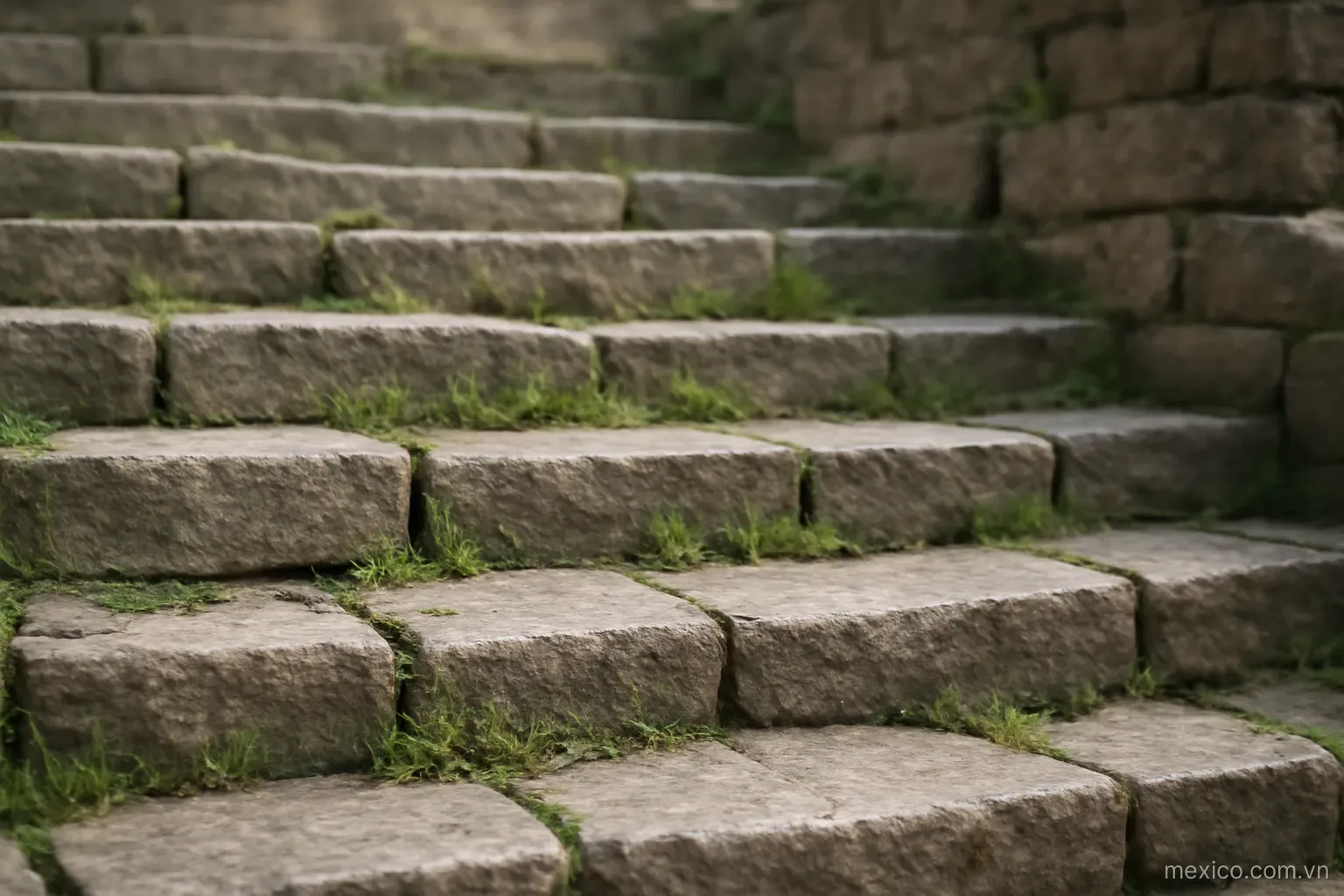 Stone steps of an ancient structure with grass growing between blocks, eye level, no text