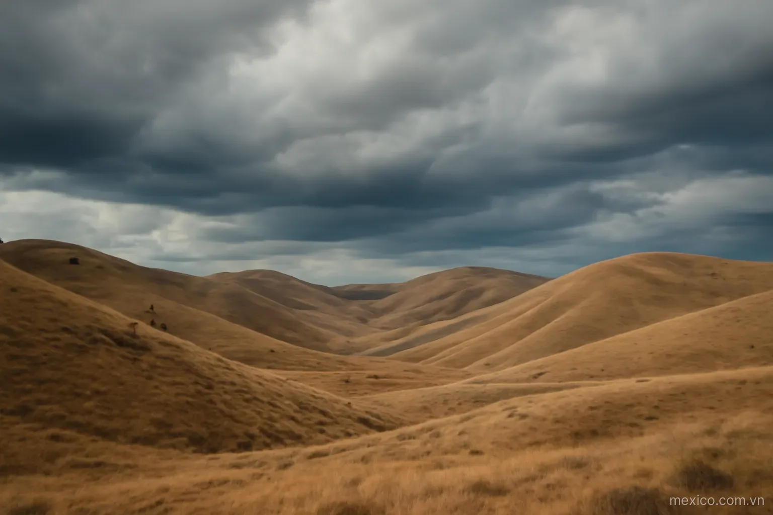 A landscape with dry hills under gathering afternoon clouds, wide view, no text