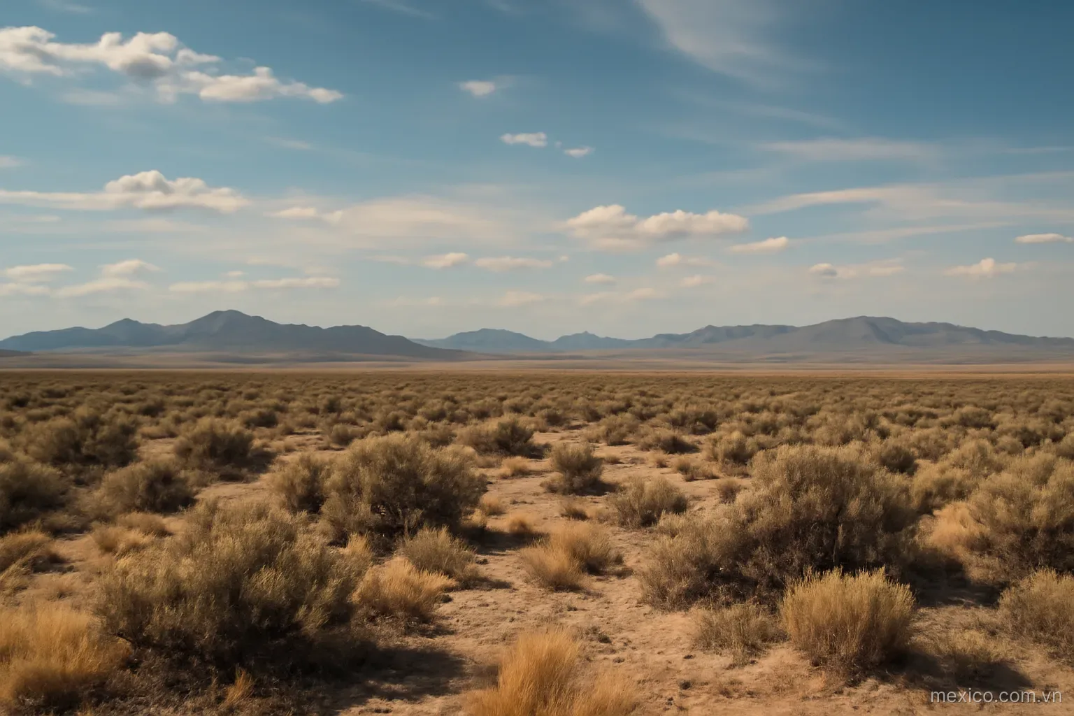 A dry landscape with scrub and distant mountains under a wide sky, wide view, no text