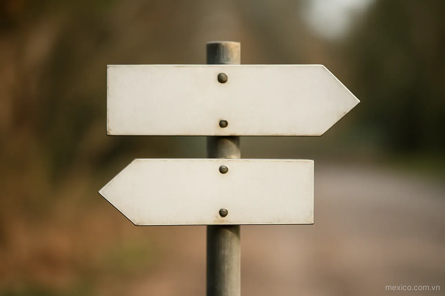 Two vanes of different sizes on a single post pointing different ways, side view, no text