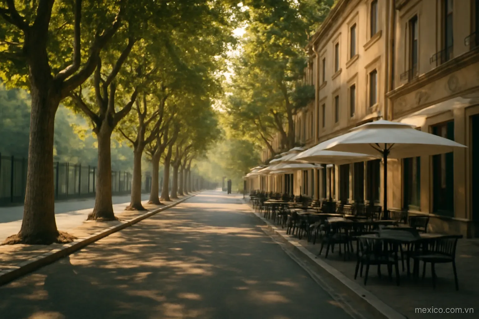 A tree-lined avenue with low buildings and cafe terraces in morning light, eye level, no text